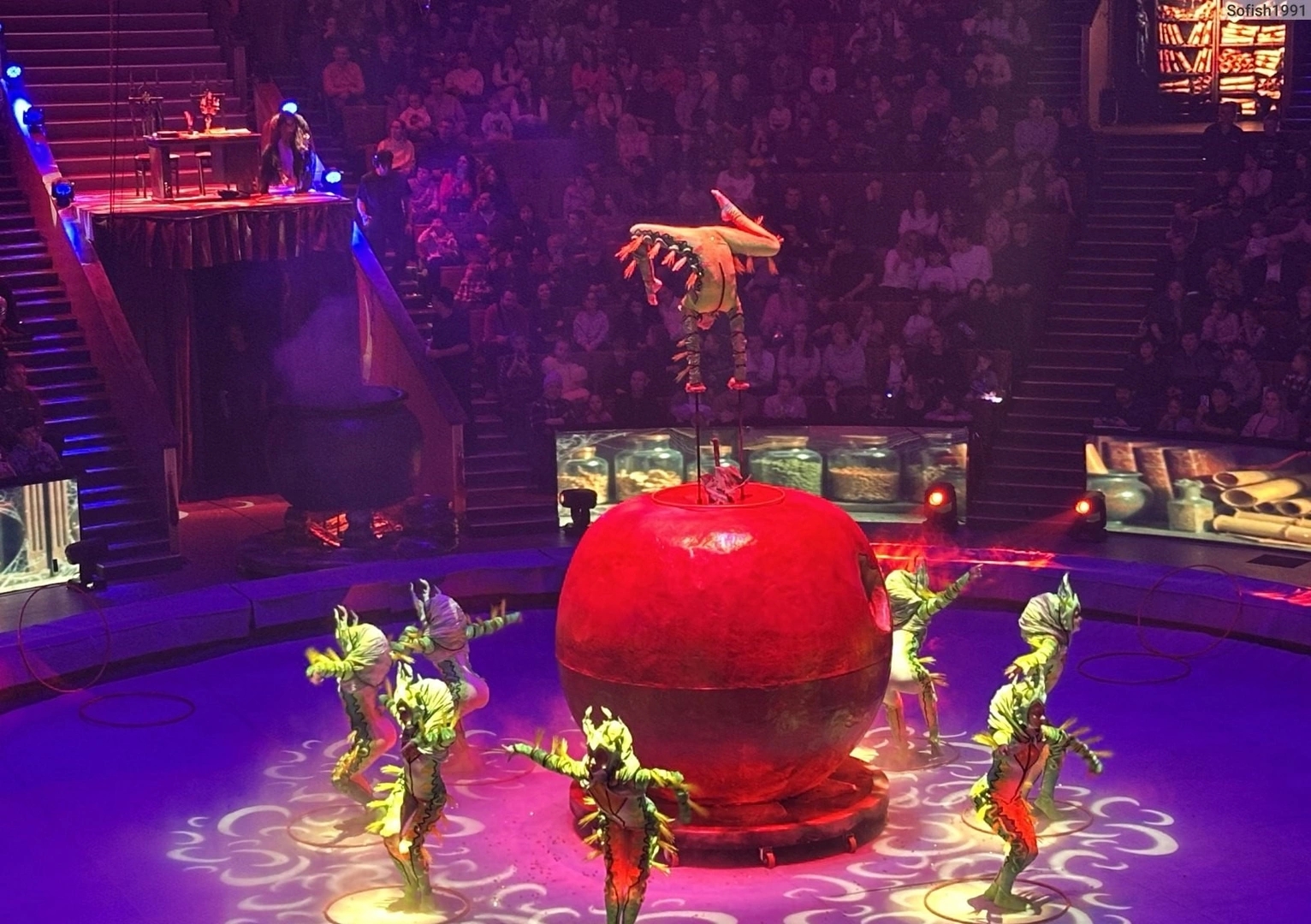 Новогоднее шоу «Сказка о Белоснежке и семи гномах»