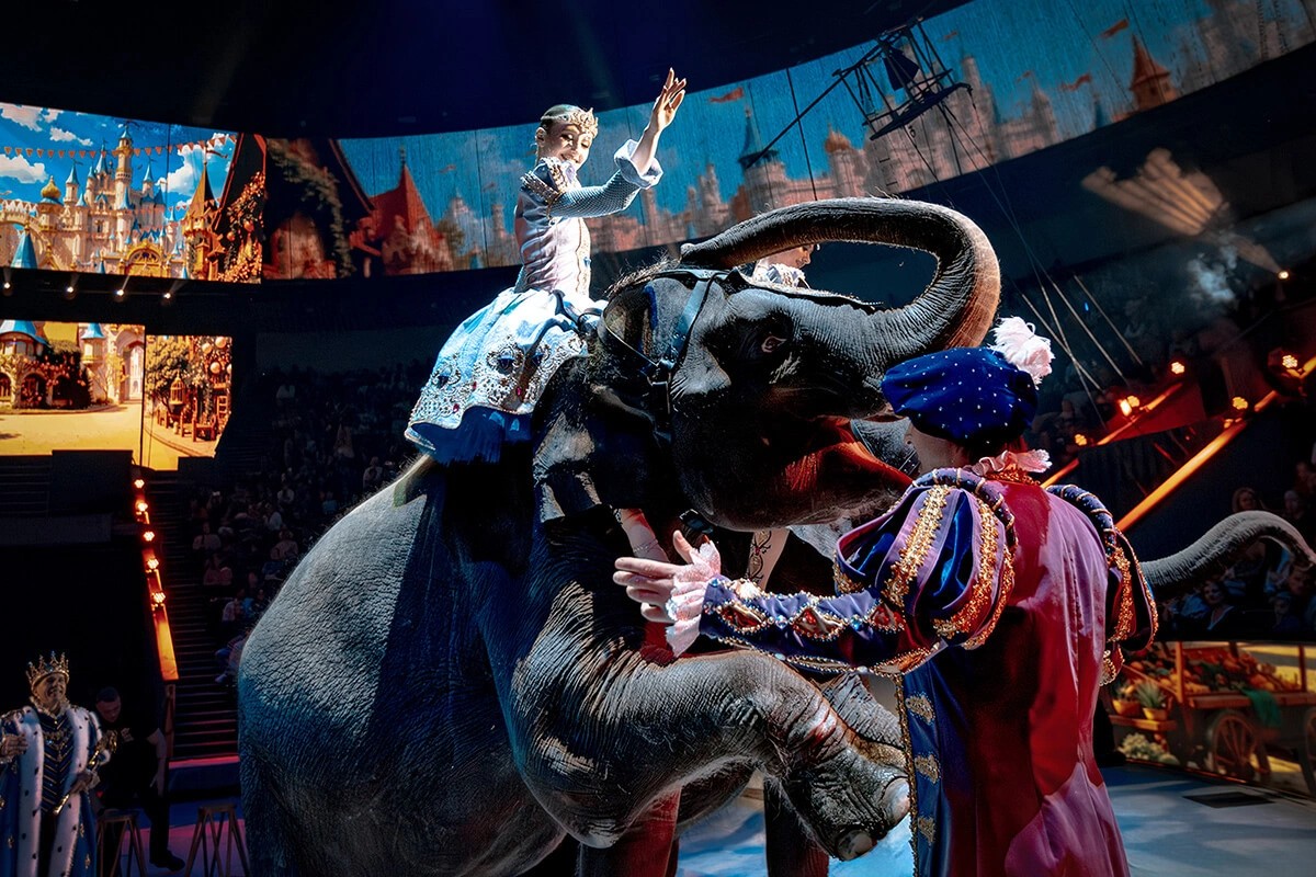 Иностранные исполнители